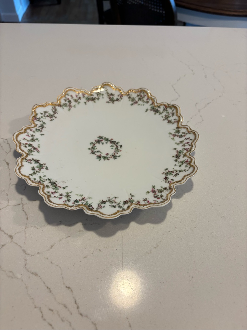 Haviland France Limoges 9” M.A. Hudson Princess Plate